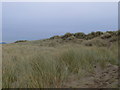 Sand dunes, Prestatyn