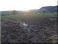 Muddy field near Llan Farm