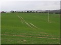 SY7194 : Farmland, Waterston Ridge by Andrew Smith