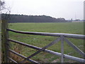 Birchymoor Coppice from across field