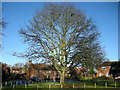 Long Itchington-Village Green