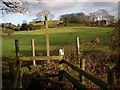 Junction of footpaths by Arniss Farm