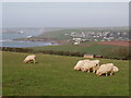 Farmland and coastal view