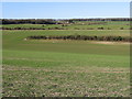 View across the valley from footpath to Kingsdown