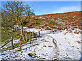 Snow and sunshine on the Jack Mytton Way