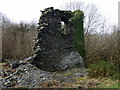 Llanfyrnach mine:  old engine house