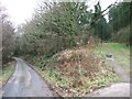 Entrance to Dodscott Wood