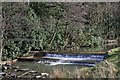 River Calder near Towneley