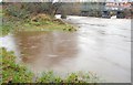 The River Bann, Dunbar