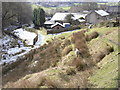 Hurstwood Brook