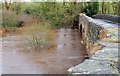 The River Bann in flood (3)