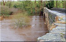 J1644 : The River Bann in flood (3) by Albert Bridge