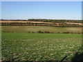 View across the valley from Free Down