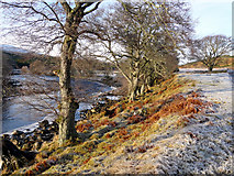 NC4505 : River Cassley by sylvia duckworth