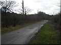 Track to Shawbury Heath woods.