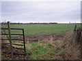 Farmland between Painsbrook and New House