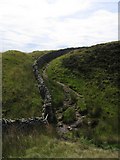 SD7880 : The Ribble Way crossing Sikesdale Gill by John S Turner