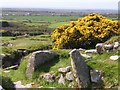 Carn Euny ancient village