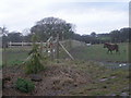 Fenced off footpath that is supposed to be a Right of Way