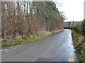 Wooded area by country road in winter