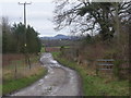 Whitley Grange driveway