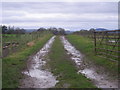 Farm track at Whitley Grange