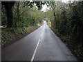 View along country road near Betteshanger