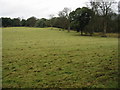 A view across the fields near Betteshanger