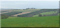 Woodland and farmland south of Higher Hollam