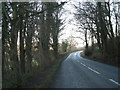 Nearly through Pentre Woods