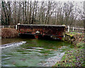 Barton Stacey -  River Dever In Flood