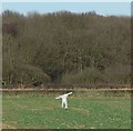 Scarecrow with Aston Firs in the background