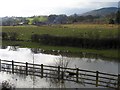 Grazing on the flood plain