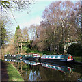 SO8687 : Boats and Birch Trees, near Ashwood, Staffordshire by Roger  Kidd