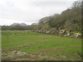 Ancient tidal shoreline at the west end of Hir Ynys