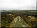 Flagged Track leading to Newsholme Dean