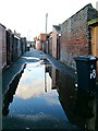 Puddle in a back alley