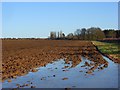 Farmland, Prescote