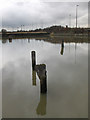 Alexandra Dock, Grimsby