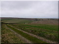 Farm track leading to The Bungalow near Cheselbourne