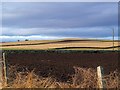 Countryside near Bractullo, Monikie