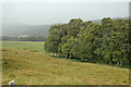 NH5491 : Farmland and Woods at Gruinards by Peter Gamble