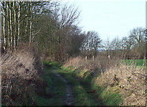 SJ9306 : Farmers' Track west of Shareshill, Staffordshire by Roger  D Kidd