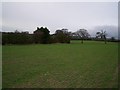 Cocks-hut Hill from the Centenary Way