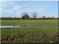SP4791 : Farmland near Sharnford, Leicestershire by Mat Fascione