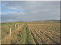 Footpath along the edge of cropland on Porth Dinllaen Farm