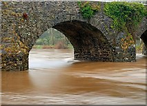 J3269 : The River Lagan in flood (4) by Albert Bridge