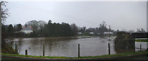 H4374 : Flooding near Omagh by Kenneth  Allen