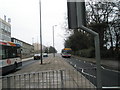 Buses at Roebuck House