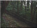 Old Penmaenuchaf Estate Boundary Wall